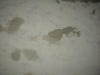Ghostly footprints
